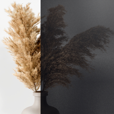 Tenda a rullo esterna per finestre | Grigia, traslucida | Larghezza regolabile | Installazione senza fori